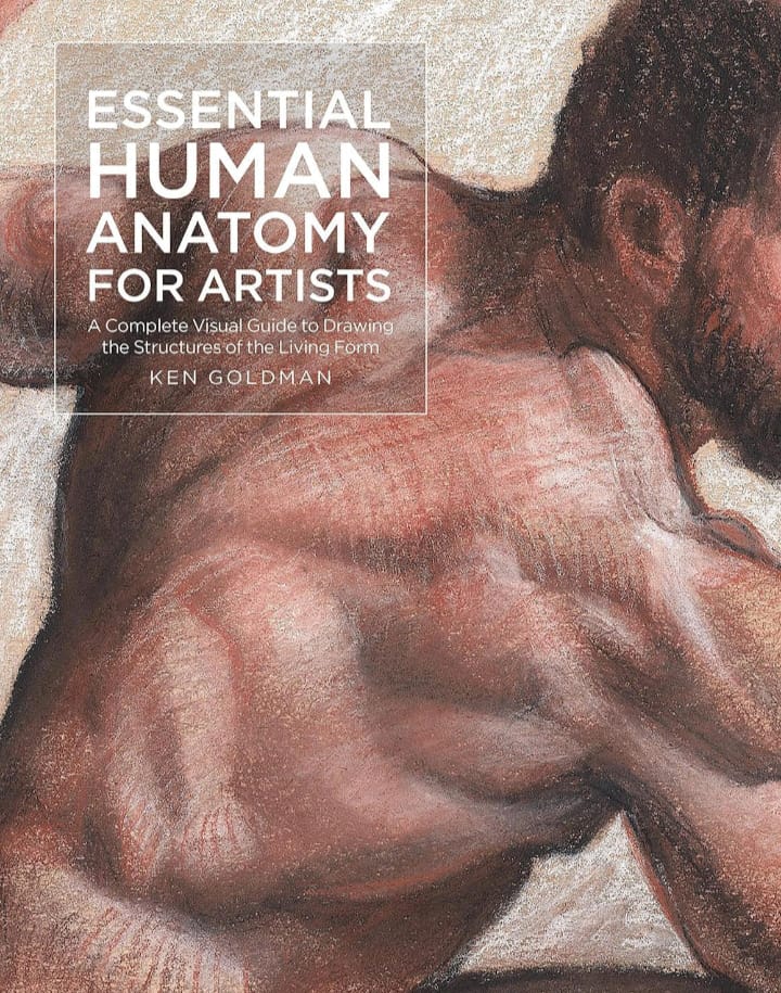 ESSENTIAL HUMAN ANATOMY FOR ARTISTS : A COMPLETE VISUAL GUIDE TO DRAWING THE STRUCTURES OF THE LIVING FORM